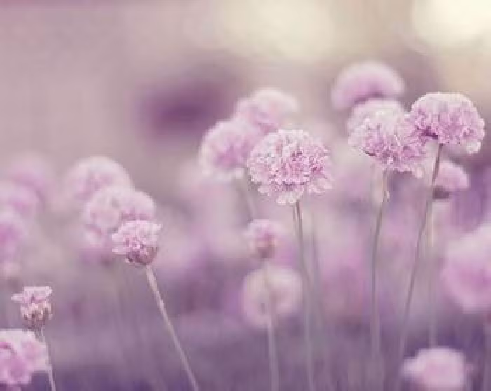 Tuổi Hợi: Công việc: Có cơ hội tiếp cận được với khách hàng tiềm năng, có cơ hội hợp tác tốt. Tài vận: Cầu tài đắc tài, tiền bạc rủng rỉnh. Tình cảm: Tràn ngập niềm vui và hạnh phúc. Hướng vượng tài: Xuất hành hướng Tây, kỵ hướng Bắc. Màu sắc vượng vận: Màu trắng. Quý nhân: Tuổi Dậu. (Bài viết chỉ mang tính tham khảo, cung cấp nội dung trắc nghiệm vui cho bạn đọc).