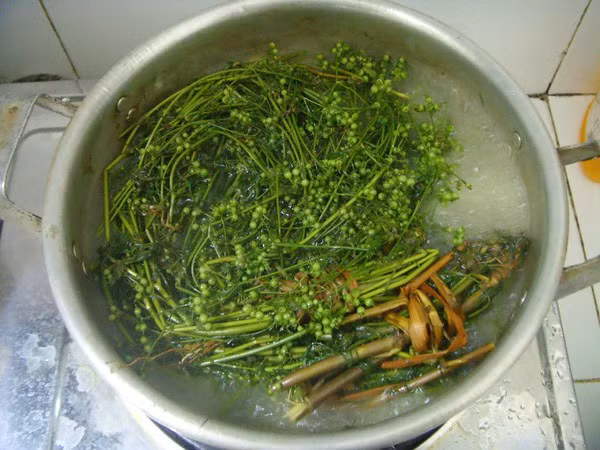 Rau mùi già. Ảnh minh họa.