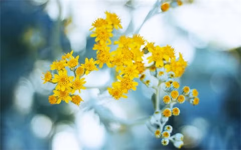 Tuổi Ngọ: Công việc: Tiến triển thuận lợi, có nhiều tin vui đến với bạn, được cấp trên tin tưởng, được đồng nghiệp tin yêu ủng hộ. Tài vận: Sự cố gắng nỗ lực của bạn cuối cùng cũng được đền đáp xứng đáng bằng khoản thu nhập hậu hĩnh. Tình cảm: Cần quan tâm nhiều hơn đến sức khỏe và tâm tư của đối phương. Hướng vượng tài: Xuất hành hướng Tây Bắc, kỵ hướng Nam. Màu sắc vượng vận: Màu vàng. Quý nhân: Tuổi Tuất.