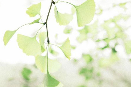 Tuổi Dậu: Công việc: Cần phải đề cao cảnh giác để tránh dính phải cạm bẫy của đối thủ, cố gắng tập trung làm tốt công việc của mình, không nên tham gia vào việc của người khác để tránh rắc rối không đáng có. Tài vận: Có nguy cơ phá tài, vì thế nên thận trọng. Tình cảm: Trước khi nói cần phải suy nghĩ đừng để lời nói vô tâm của mình làm tổn thương đối phương. Hướng vượng tài: Xuất hành hướng Đông Nam, kỵ hướng Tây. Màu sắc vượng vận: Màu vàng. Quý nhân: Tuổi Thìn.