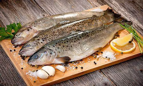 Khi cá vừa mổ, phần thịt cá sẽ sản sinh ra axit lactic và phosphoric ức chế sự phát triển của vi sinh vật, lúc này thịt cá thường có vị hơi chua và cứng.