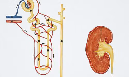 Ảnh minh họa, nguồn: Sina.