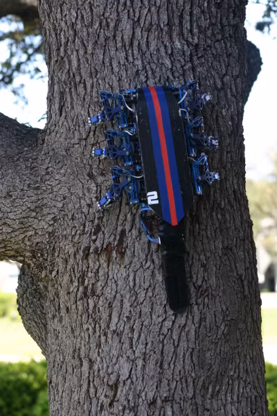 RiSE V2 leo cây, sử dụng móng vuốt để gắn với bề mặt thô.