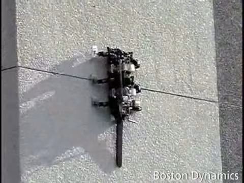 Rise là robot địa hình có hình dáng như một con bò cạp, có khả năng leo trèo trên các địa hình thẳng đứng như tường nhà, thân cây, hàng rào.