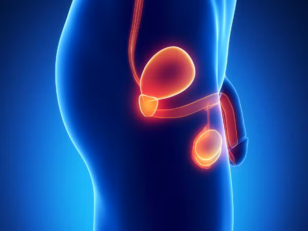 Việc uống một cốc trà xanh hàng ngày có thể giúp bạn ngăn được ung thư tuyến tiền liệt bởi trong trà có vitamin K, một khắc tinh của bệnh này.