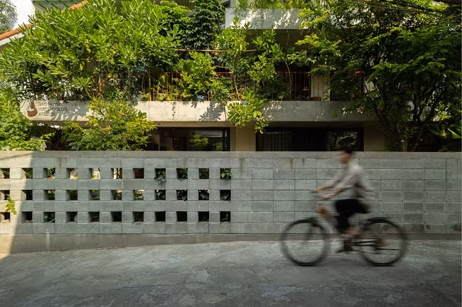 Khu vườn tầng 1 có vai trò quan trọng như máy lọc không khí tự nhiên, giảm tiếng ồn và cung cấp không khí trong lành.