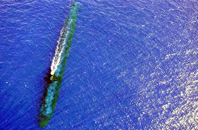 Tàu được trang bị một lò phản ứng hạt nhân S6G cho phép đạt tầm hoạt động không giới hạn, tốc độ khi lặn 20 hải lý/h, lặn sâu tối đa 290m.