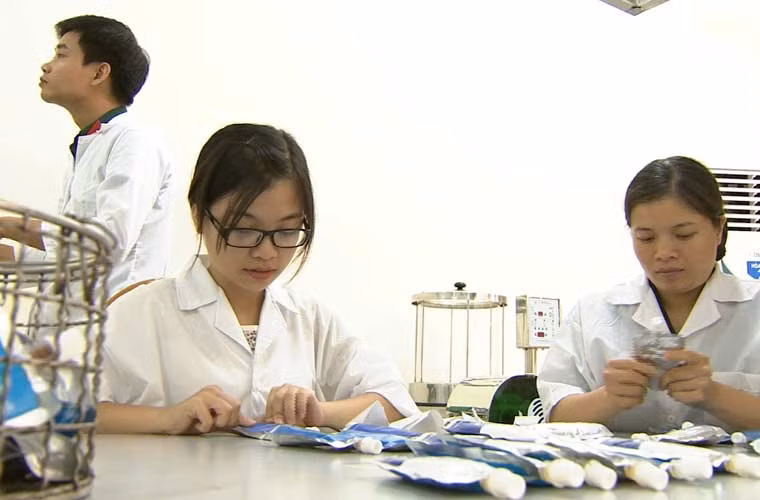 Sản phẩm được đóng vào các gói nhỏ rất nhẹ trong vận chuyển và cất trữ không tốn diện tích nhà kho.