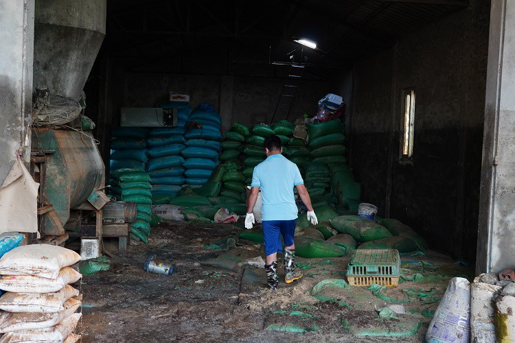 Rớt nước mắt nhìn trang trại gà mất trắng hàng chục tỷ sau lũ Rot nuoc mat nhin trang trai ga mat trang hang chuc ty sau lu