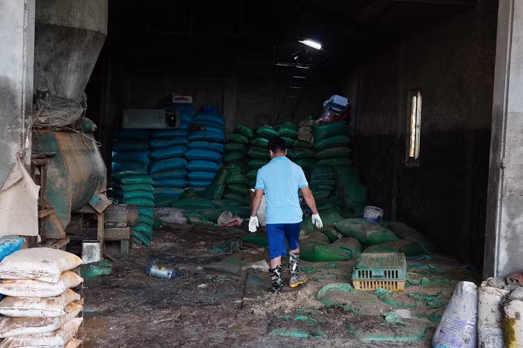 Rớt nước mắt nhìn trang trại gà mất trắng hàng chục tỷ sau lũ Rot nuoc mat nhin trang trai ga mat trang hang chuc ty sau lu