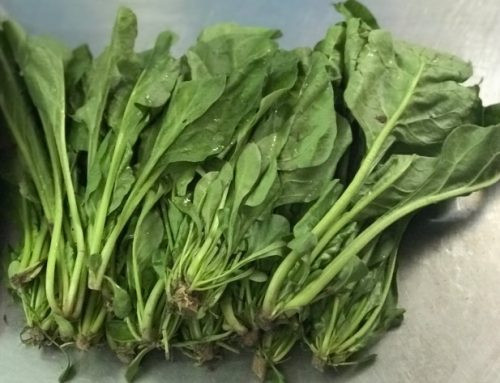 Với hàm lượng vitamin C cao, rau cải bó xôi giúp tăng cường tổng hợp collagen, giữ cho da săn chắc và mịn màng. Ảnh: nongsandungha.