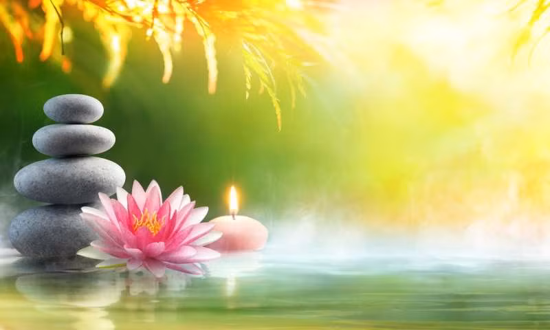 Thực hành chánh niệm cũng giúp bạn giảm cân và thúc đẩy các hành vi ăn uống lành mạnh. Ảnh: internapcdn.