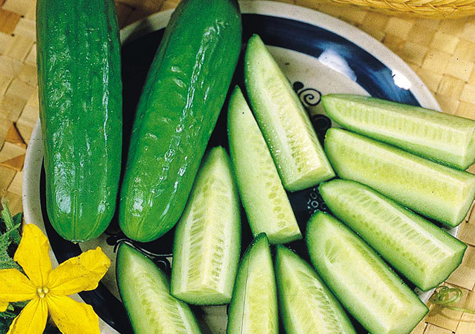 Dưa chuột có tính mát, chứa nhiều nước nên cũng phòng chống say nắng rất hiệu quả. Ảnh: adayroi.