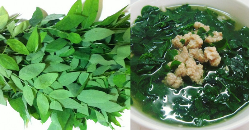 Bên cạnh rau muống và rau mồng tơi, rau ngót cũng là loại rau xanh nên ăn mùa hè. Ảnh: suckhoeonline.