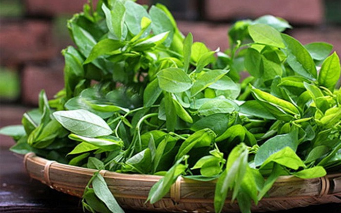 Rau ngót có lượng đạm cao, chất béo, đường, kali, sắt, mangan, đồng, betacaroten, vitamin C, B1, B2, nhiều sinh tố C và sinh tố K. Ảnh: ucamart.