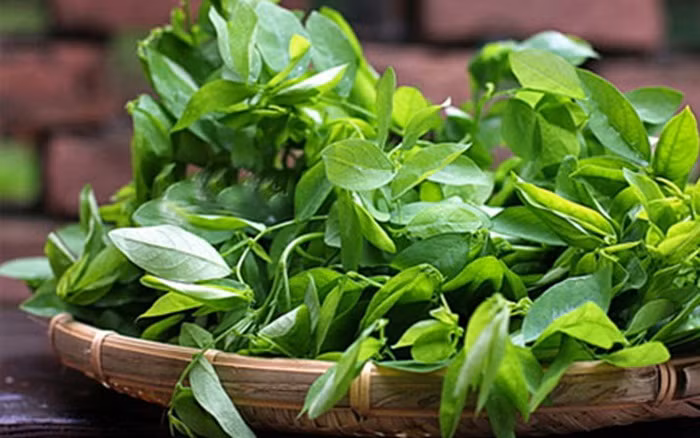 Rau ngót có lượng đạm cao, chất béo, đường, kali, sắt, mangan, đồng, betacaroten, vitamin C, B1, B2, nhiều sinh tố C và sinh tố K. Ảnh: ucamart.