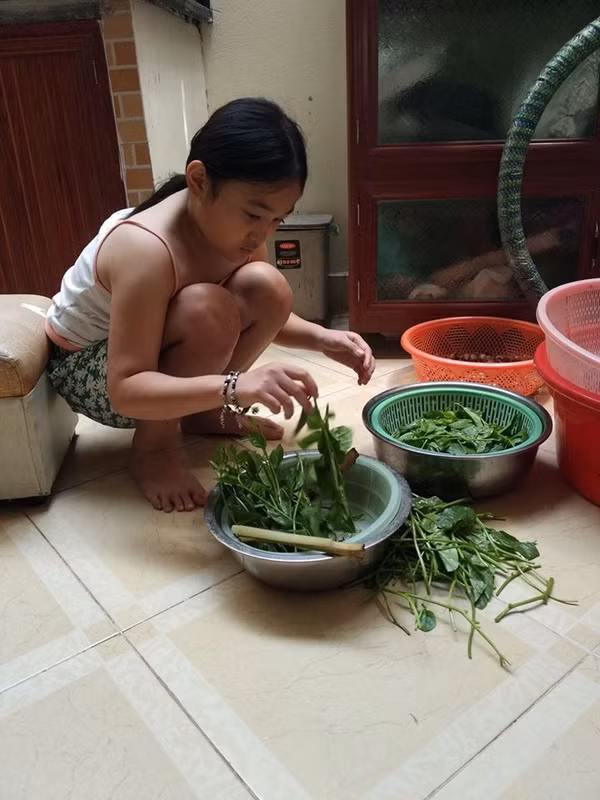 Dù còn rất nhỏ tuổi nhưng bé gái đã tỏ ra rất thành thục trong công việc bếp núc thường ngày.