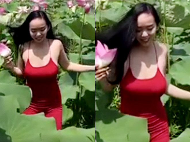Mới đây, đoạn clip ngắn chỉ vỏn vẹn 13 giây ghi lại cảnh một gái xinh đang chạy nhảy ở đầm sen gây chú ý trên MXH.