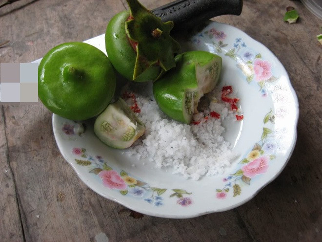 Do đặc trưng địa lý từ trước đây nên nhiều cư dân mạng thấy lạ lẫm với quả bần, dù có nghe tên nhưng chưa từng thấy ở khu vực mình sống bao giờ.