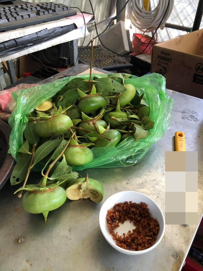 Trong một bài đăng mới đây thu hút nhiều lượt tương tác trên mạng xã hội, một loại quả đặc sản miền Tây đang khiến netizen chú ý.