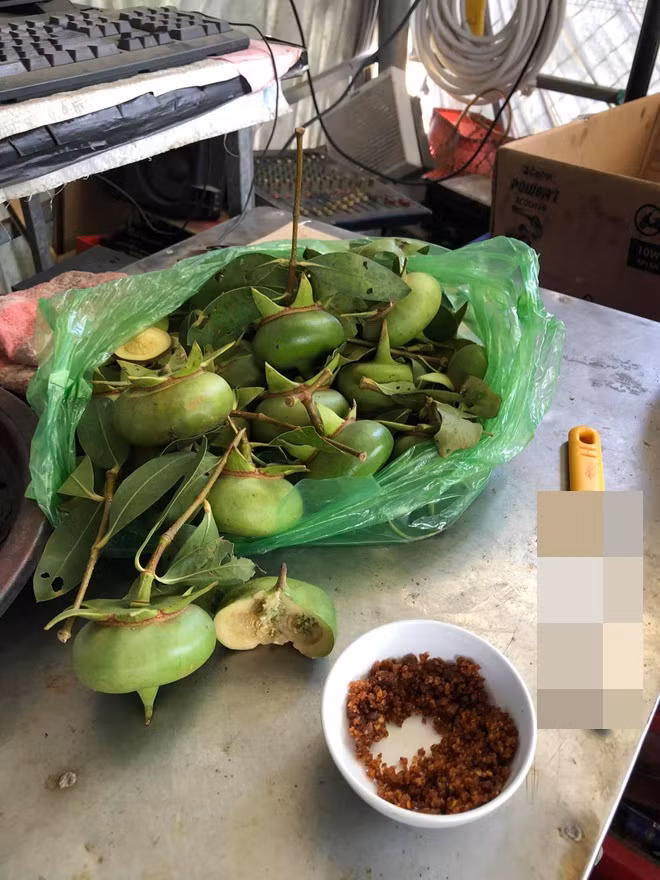 Trong một bài đăng mới đây thu hút nhiều lượt tương tác trên mạng xã hội, một loại quả đặc sản miền Tây đang khiến netizen chú ý.