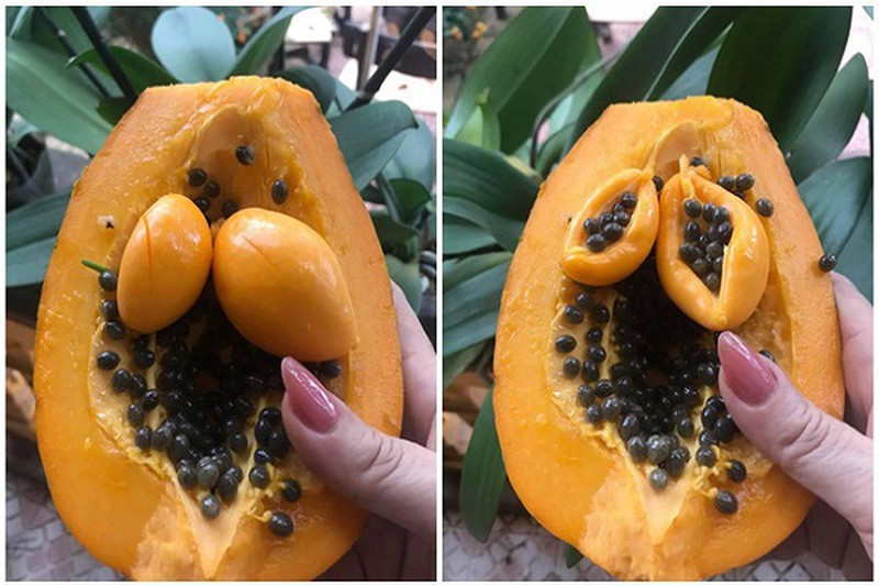 Qủa đu đủ "mang bầu" được cư dân mạng thích thú chia sẻ rần rần trên MXH.