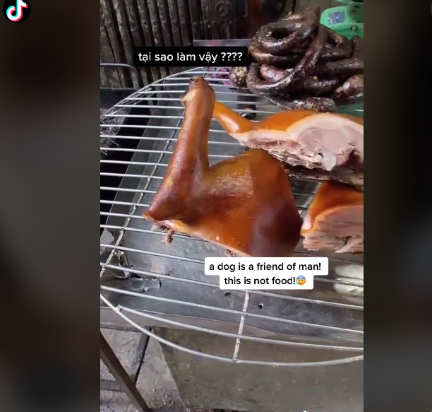 Trong những đoạn clip lên án ăn thịt chó, cô gái này đứng ngay ở 1 số quán thịt chó, yêu cầu người bán ngừng bán thịt chó và nói những người ăn thịt chó là dã man, vô nhân đạo, không yêu thương động vật.