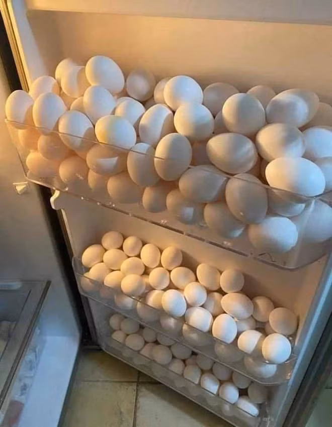Bên cạnh thực phẩm tươi, trứng là lựa chọn tối ưu nhất dành cho mọi nhà. Chiếc tủ lạnh đầy ắp trứng này khiến nhiều người cảm thấy thích thú. Ảnh: Nguyễn Tường