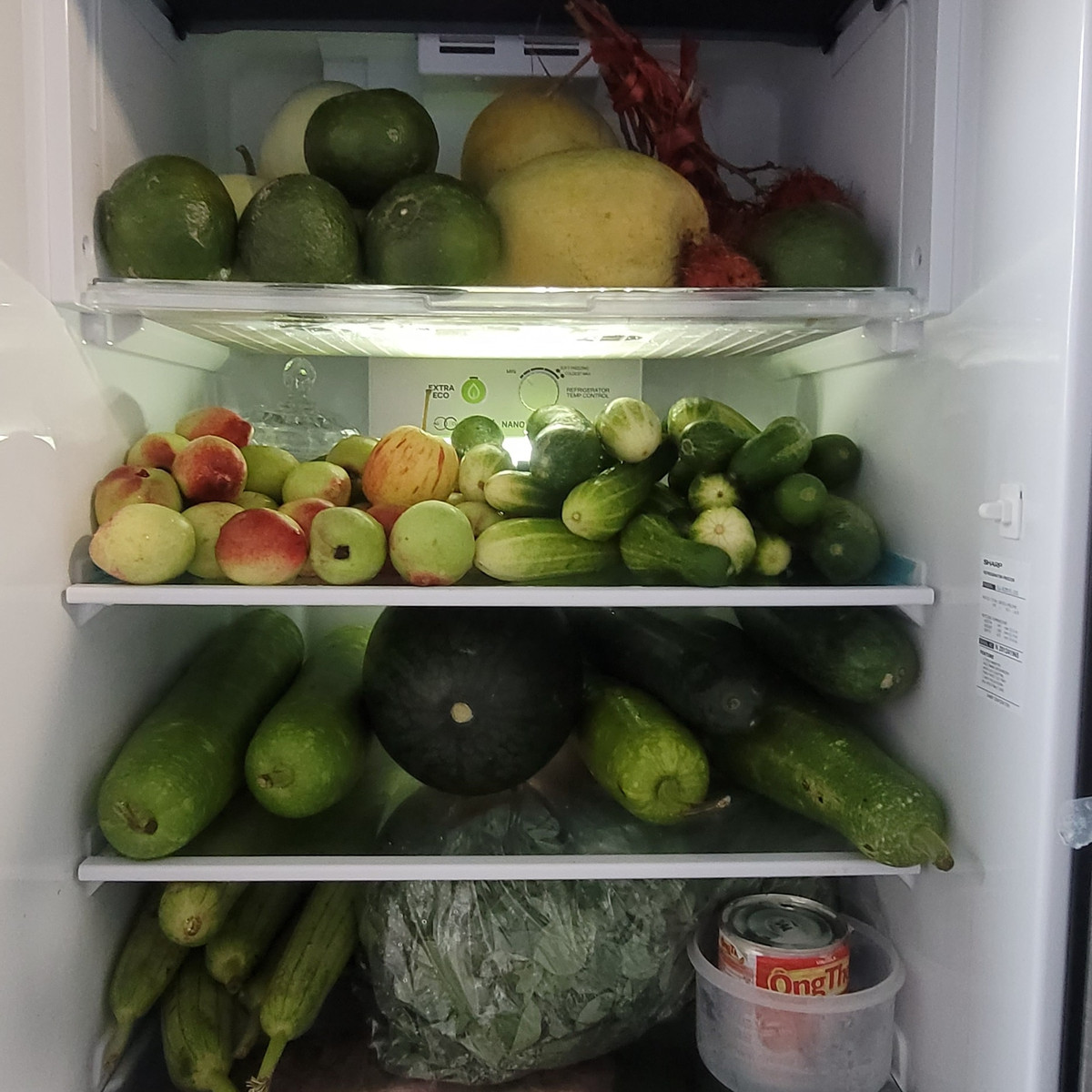 Một người ăn uống lành mạnh nên trong tủ lạnh của họ chỉ chứa rau củ quả. Ảnh: Thịnh Amumu