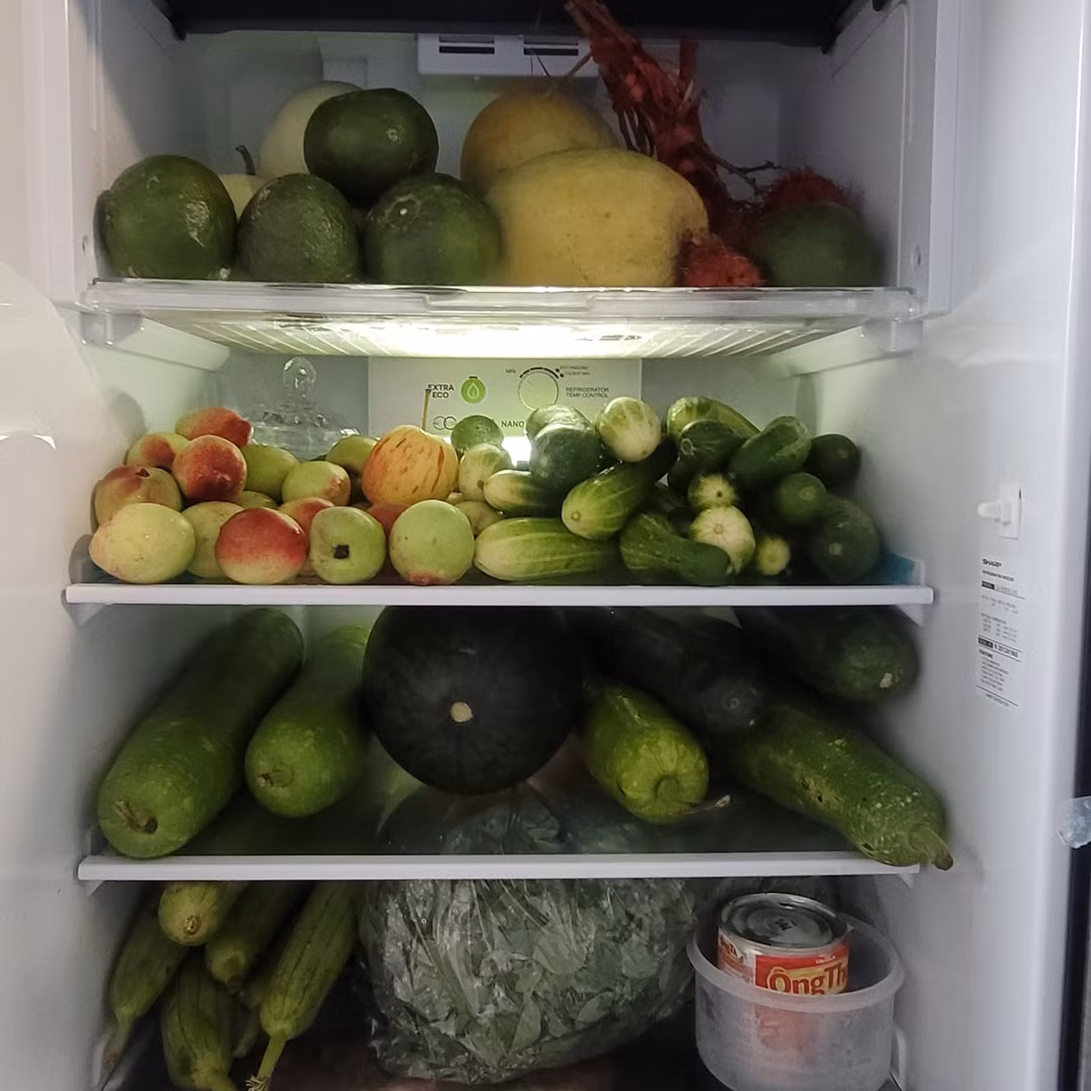 Một người ăn uống lành mạnh nên trong tủ lạnh của họ chỉ chứa rau củ quả. Ảnh: Thịnh Amumu