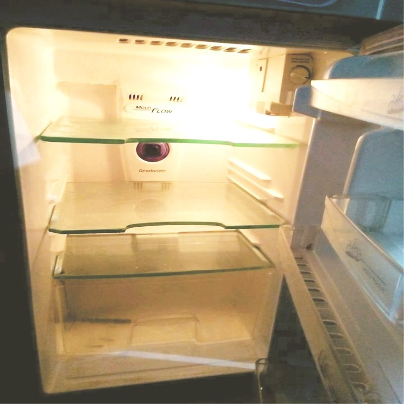 Ngắm nghía những chiếc tủ nhiều thực phẩm đã đời con mắt, nên khi chứng kiến chiếc tủ lạnh trống hoác này lại cảm thấy khổ sở thay cho khổ chủ. Ảnh: Tú Hà