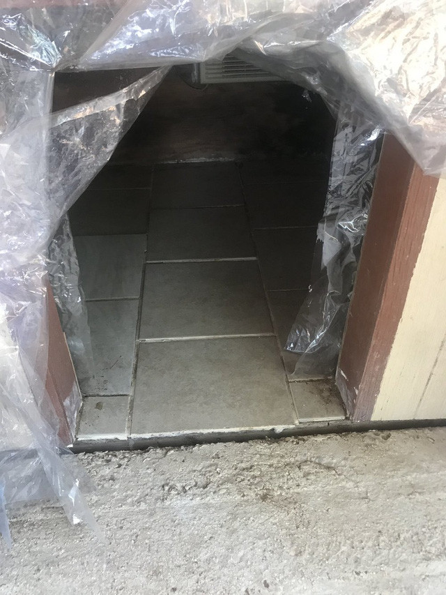 Hệ thống tản nhiệt và điều hòa hiện đại được lắp đặt trong chuồng của chú chó này. Ảnh: Twitter @350zadrian