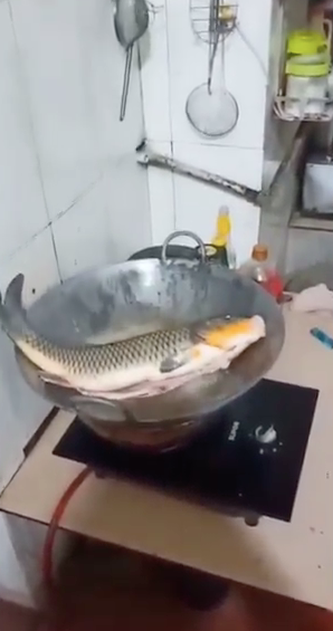 Một video clip rán cá trên mạng xã hội đang thu hút sự chú ý của nhiều người. Đoạn clip ghi lại cảnh người đàn ông nọ đang cho con cá chép khá lớn đã được sơ chế vào chảo dầu để rán.