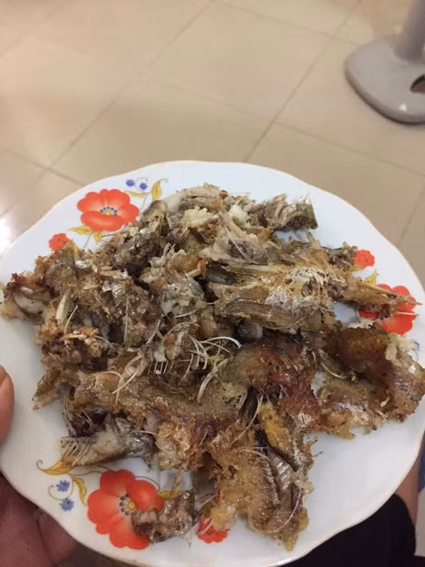 Đang đói mà nhìn thảm họa cá rán nát là hết muốn ăn. Nhiều người cho rằng món cá chắc chắn sẽ không thể thảm hại nếu khổ chủ chiên bằng chảo chống dính thay vì chiếc chảo vừa cũ vừa mòn như kia.