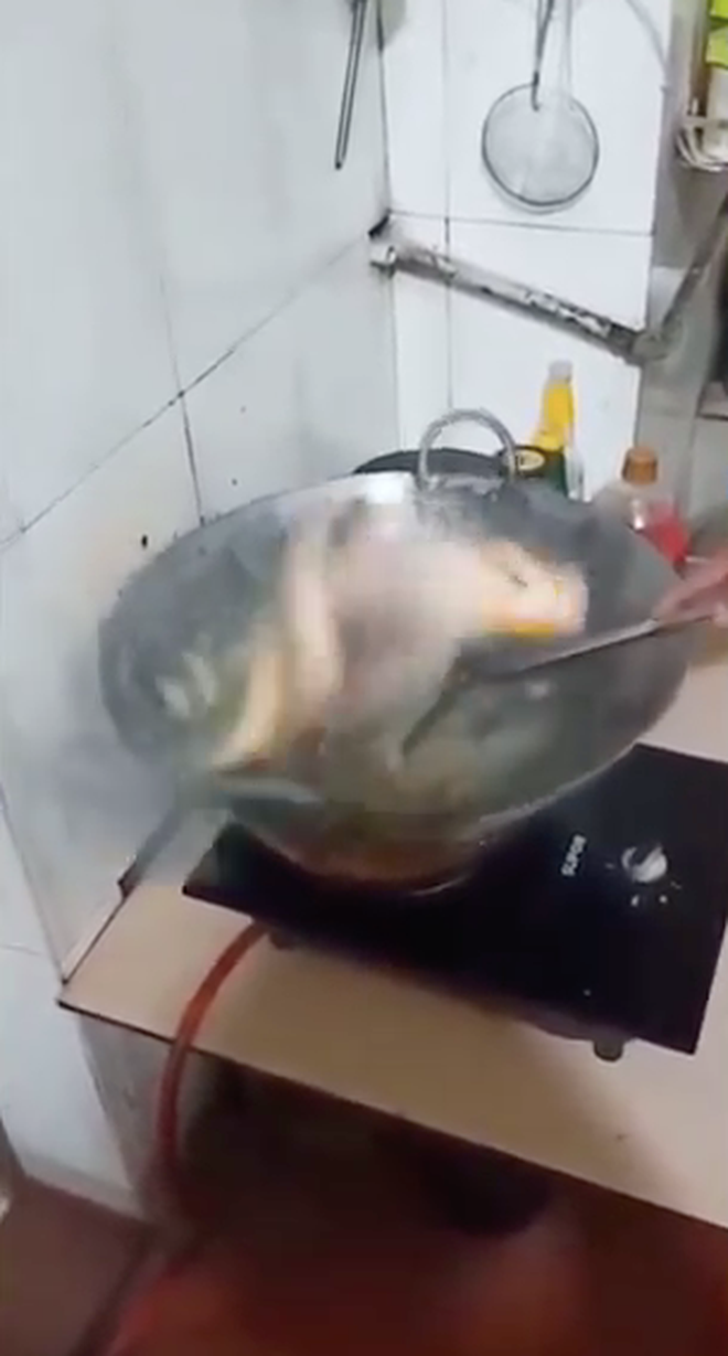 Xem clip, không ít netizen bất ngờ vì con cá phản ứng quá mạnh, bên cạnh đó còn có người thắc mắc 1 câu: Vì sao con cá đã bị mổ bụng mà vẫn quẫy tưng bừng như còn sống?