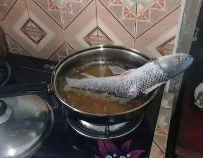 Dù không vỡ nhưng thế này thì liệu có chín để dùng được không?