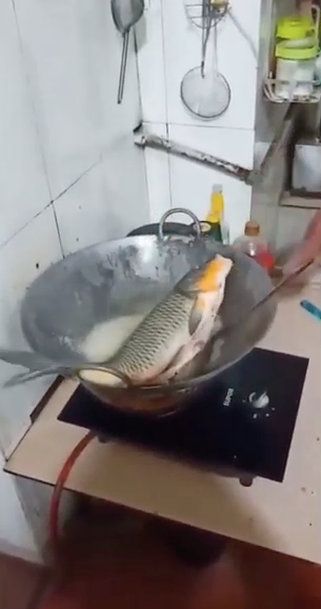 Con cá này đã được làm sạch sẽ như moi ruột, làm vẩy, mổ bụng,...trước khi cho vào chảo rán.