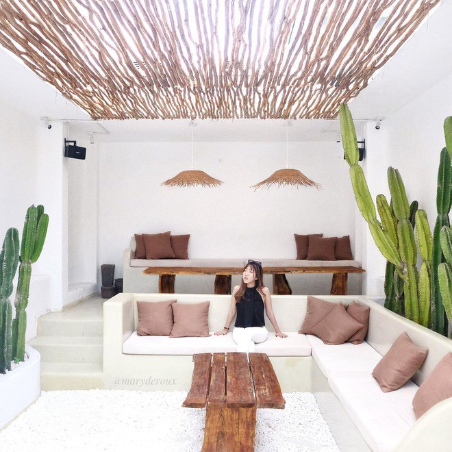 Không chỉ facebook cá nhân, food blogger này còn bị cư dân mạng vào chửi bới, công kích dưới các bài đăng trên fanpage và Instagram.