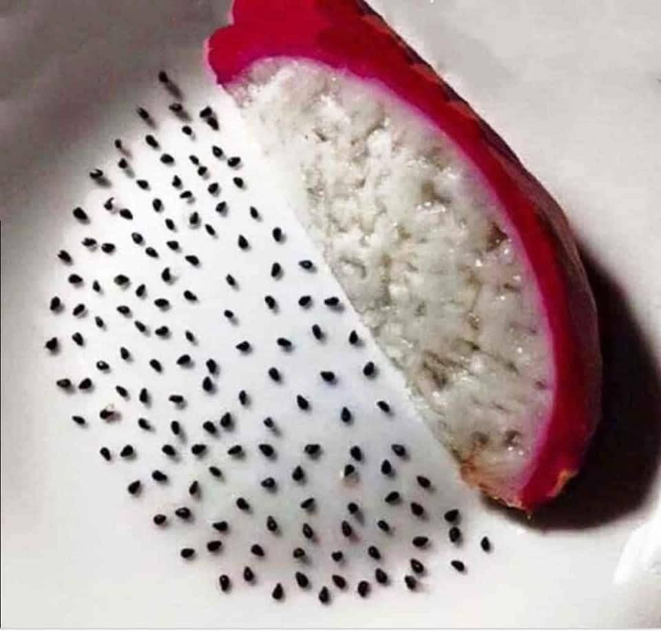 Ở nhà quá lâu và chán nản, nhiều cư dân mạng đã tự giết thời gian của mình bằng việc "xắn tay áo" vào bếp và khoe chiến tích lên mạng xã hội.