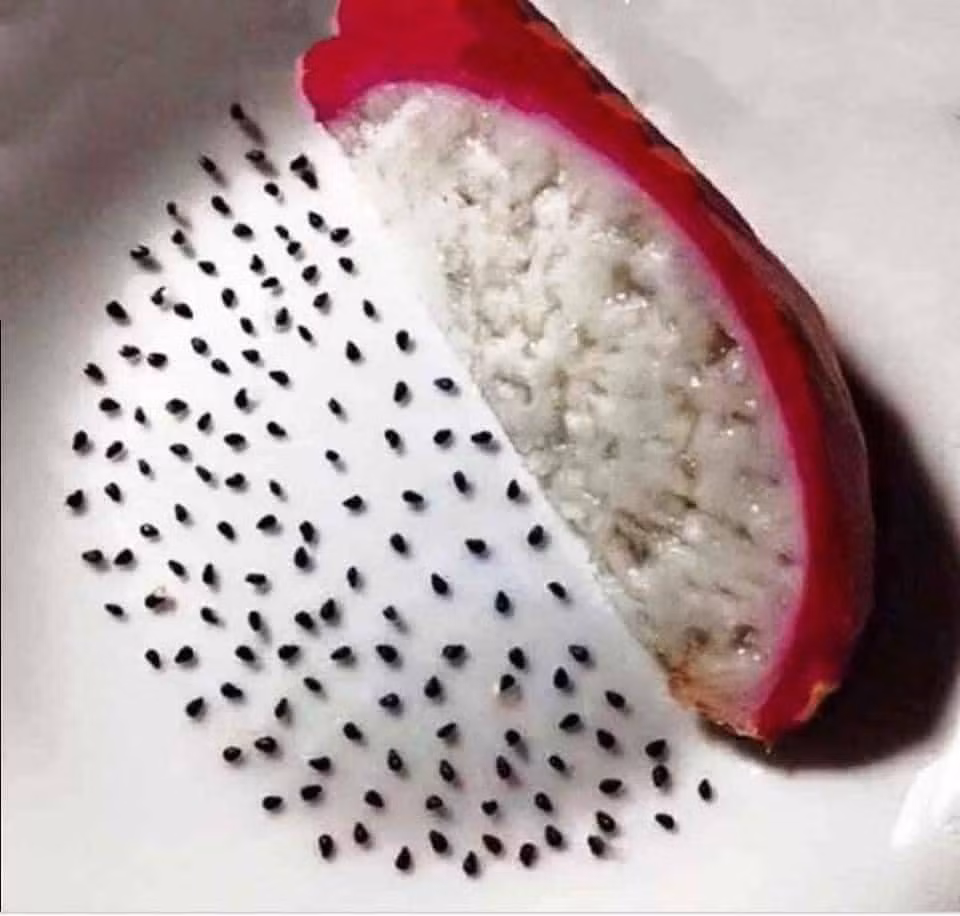 Ở nhà quá lâu và chán nản, nhiều cư dân mạng đã tự giết thời gian của mình bằng việc "xắn tay áo" vào bếp và khoe chiến tích lên mạng xã hội.