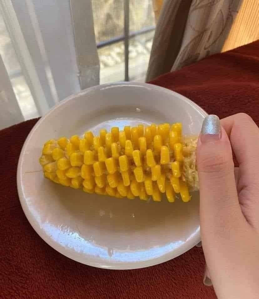 Trước tình hình diễn biến phức tạp của dịch COVID-19, nhiều nước trên khắp thế giới, tất cả mọi người dân đều được khuyến cáo ở nhà mùa dịch nhằm tránh nguy cơ lây lan virus nguy hiểm.