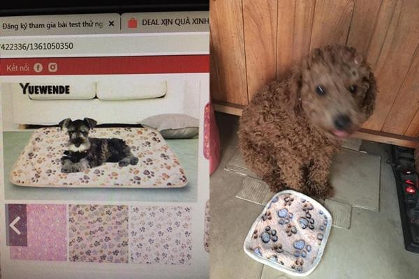 Khi "sen" mua đệm cho "boss" nằm cho ấm, nhưng sản phẩm nhận về trông có khác cái yếm cho các em bé đâu.