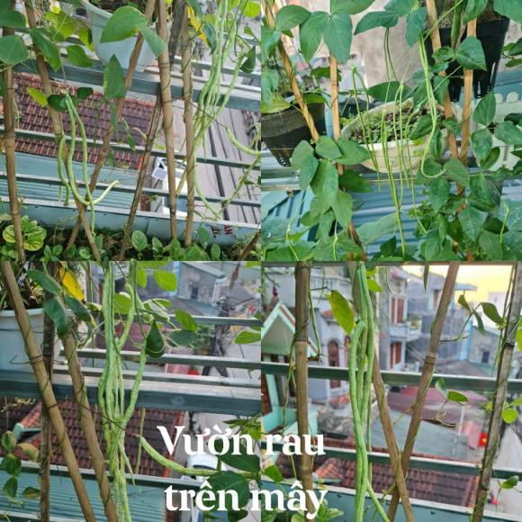 Cuộc sống bình dị của họ là bán các sản phẩm từ thịt lợn, trồng cây, hoa...