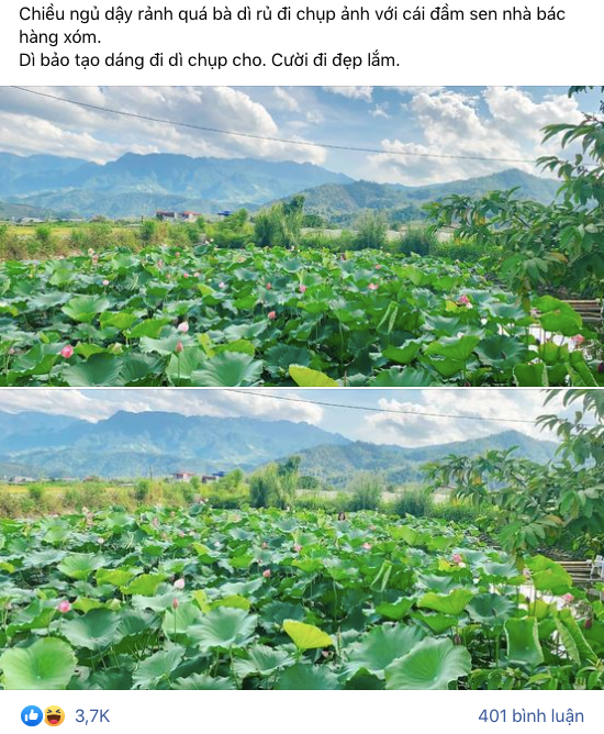 Mới đây, trên MXH xuất hiện màn chụp ao sen "sống ảo" gây cười của một cô gái nhờ người thân làm "phó nháy". Đọc dòng trạng thái cô gái chia sẻ mà cư dân mạng không nhịn được cười: "Chiều ngủ dậy rảnh quá, bà dì rủ đi chụp ảnh với cái đầm sen nhà bác hàng xóm. Dì bảo tạo dáng đi dì chụp cho. Cười đi đẹp lắm…" Ảnh: Chụp màn hình