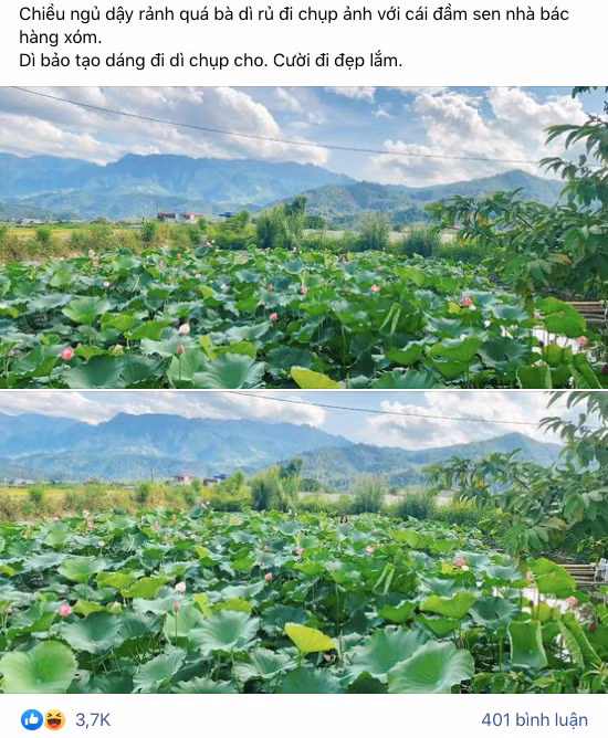 Mới đây, trên MXH xuất hiện màn chụp ao sen "sống ảo" gây cười của một cô gái nhờ người thân làm "phó nháy". Đọc dòng trạng thái cô gái chia sẻ mà cư dân mạng không nhịn được cười: "Chiều ngủ dậy rảnh quá, bà dì rủ đi chụp ảnh với cái đầm sen nhà bác hàng xóm. Dì bảo tạo dáng đi dì chụp cho. Cười đi đẹp lắm…" Ảnh: Chụp màn hình