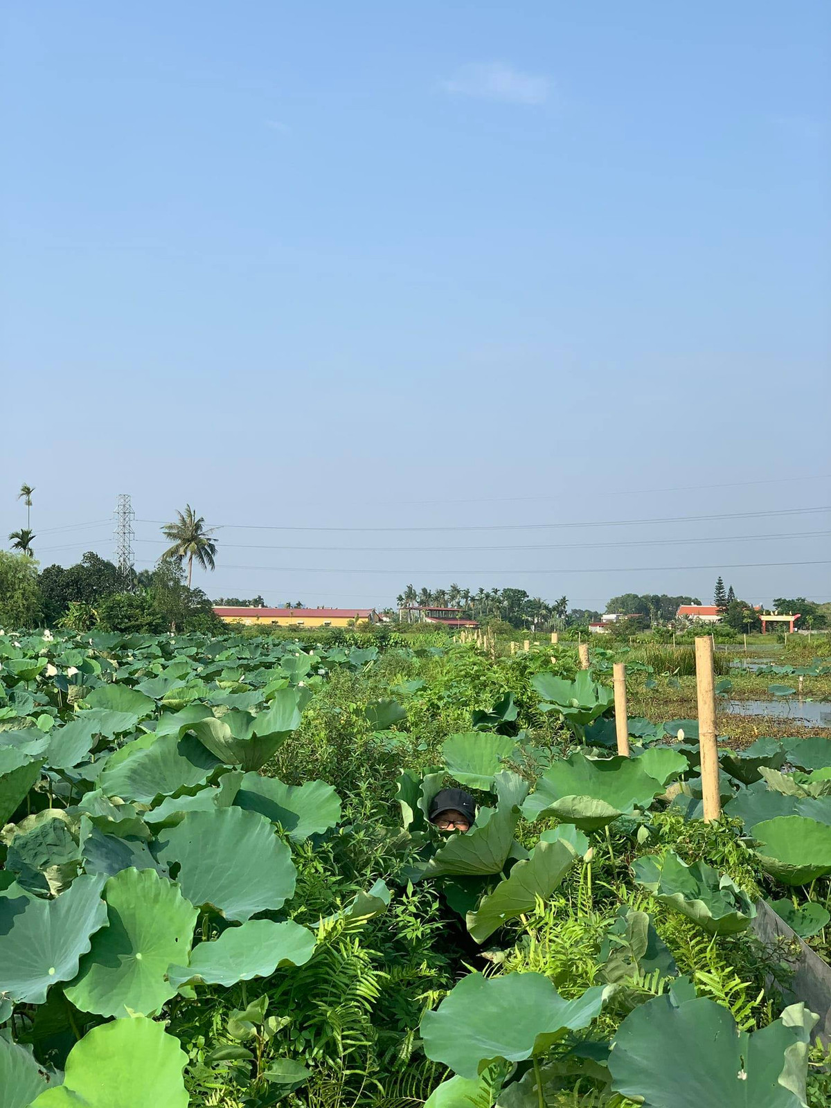 Vậy mới nói sau này có đi chụp hình "sống ảo" thì hãy dẫn theo một "phó nháy" có tâm. Ảnh: Thành Pogba