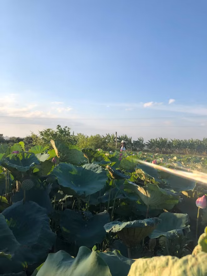 Nhiều trường hợp tương tự cũng được cư dân mạng chia sẻ khi có bạn thân làm "phó nháy", vì không biết chụp ảnh nên ảnh nào cũng như ảnh nào là chẳng thấy nhân vật chính ở nơi đâu. Ảnh: Nguyễn Thị Ngọc Bích