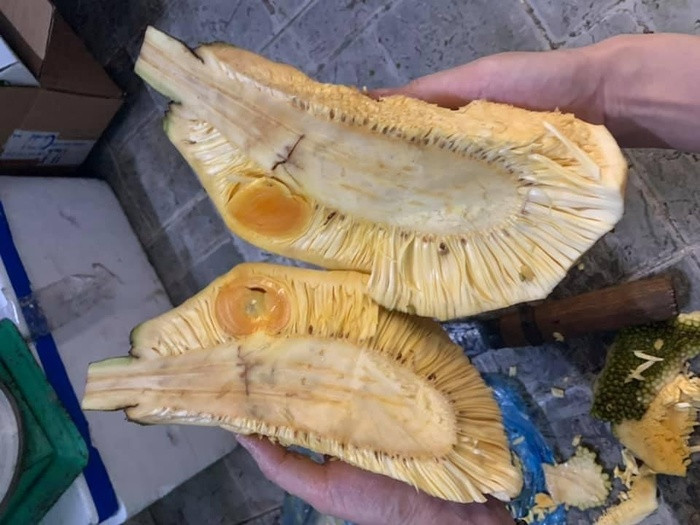 Với niềm tin mãnh liệt mít nhà trồng ắt hẳn vừa sạch vừa ngon tuyệt vời nên hí hửng bổ ra, và cái kết thực sự khiến người ta muốn "độn thổ". Ảnh: Tổng hợp