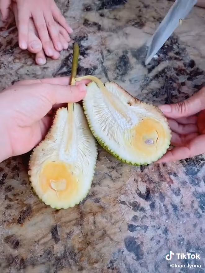 Hơn thế nữa, khi bổ quả mít thì bên trong chỉ có đúng một múi. Hóa ra, toàn bộ lời miêu tả hài hước như quả mít cầm "nặng trĩu cả tay" vì quá "bự", lúc xách về "không thể đứng thẳng lưng"của chủ nhân đoạn clip đều nhằm mục đích gây bất ngờ và tạo tiếng cười cho người xem.