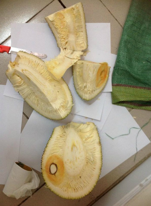 Đoạn clip TikTok sau khi chia sẻ đã gây tiếng cười cho cư dân mạng, một số bình luận hài hước như: "Rồi ăn sao hết trời", "To thế ạ cho em 2kg",...xuất hiện dành cho màn hái mít "bá đạo" này.